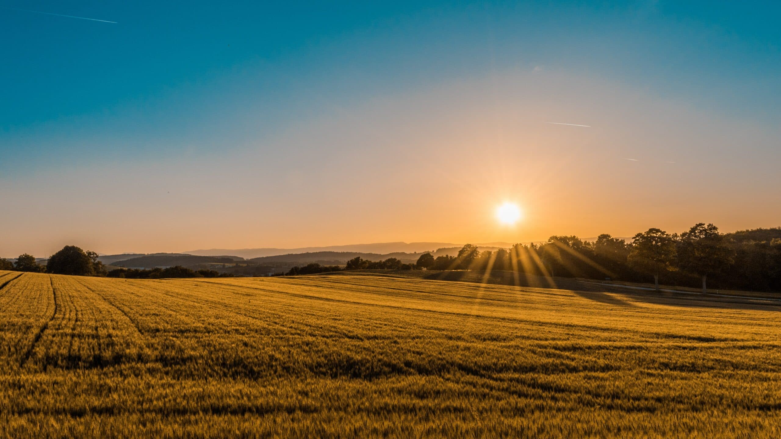 Investing in Land Pros and Cons